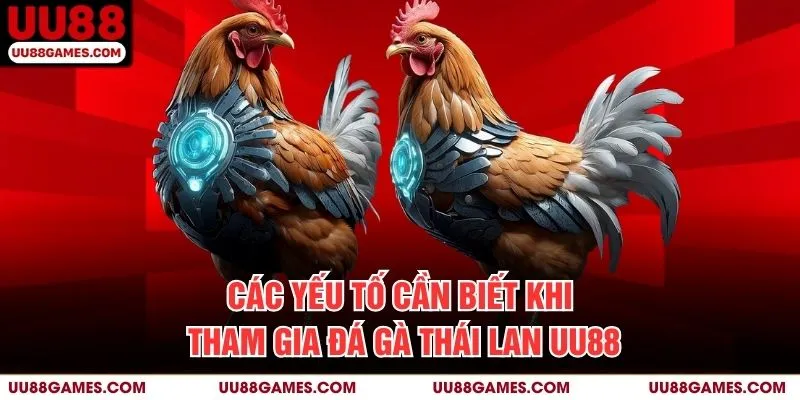 Các yếu tố cần biết khi tham gia đá gà Thái Lan UU88