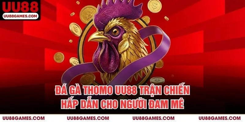 Đá gà thomo UU88