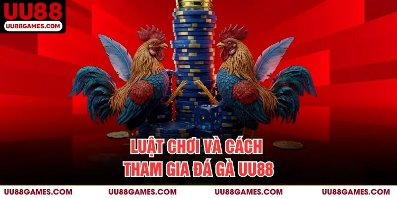 Luật chơi và cách tham gia Đá Gà UU88